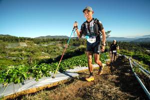 BIB: 1005
                            <button type="button" onclick="openModal(19115949)" class="btn btn-primary btn-sm float-right btn-popup" data-toggle="modal" data-target=".modal-high-quality">
                        <i class="fas fa-shopping-cart"></i> Add to Cart
                    </button>
                                            <button type="button" onclick="isThisMe(19115949, true)" class="btn btn-success btn-sm float-right btn-popup btn-isme hidden" data-toggle="tooltip" data-placement="bottom" title="นี่คือรูปของคุณใช่ไหม คลิกที่นี่เพื่อเอาเข้าอัลบั้ม">
                        <i class="fas fa-plus"></i> Add to album
                    </button>
                    <button type="button" onclick="isThisMe(19115949, false)" class="btn btn-warning btn-sm float-right btn-popup btn-isnotme hidden">
                        <i class="fas fa-ban"></i> Remove from album
                    </button>